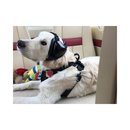 Mutt Muffs Dog Ear Protection black
