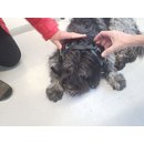 Mutt Muffs Dog Ear Protection black