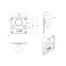 RAM® 75x75mm VESA Plate with Ball