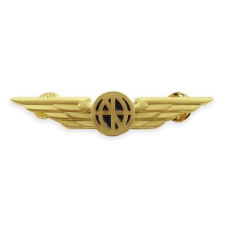 Pilot Wings Aviation