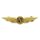 Pilot Wings Aviation