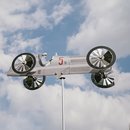 Mercedes-Benz W25 "Silberpfeil" windmill