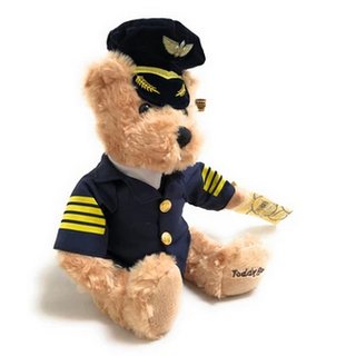 Plschbr Pilot