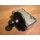 RAM 2.5" Round Base (AMPs Hole Pattern), 1" Ball & 1/4"-20 Threaded Male Post for Cameras