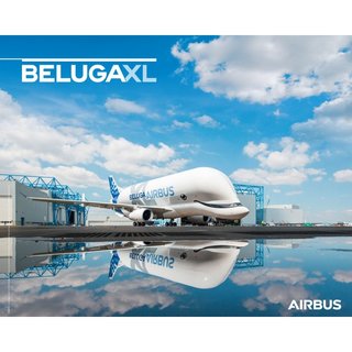 BELUGAXL Poster ground