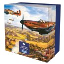 Fighter Plane puzzle