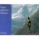 Flügel über der Schweiz