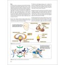 Instrument Flying Handbook